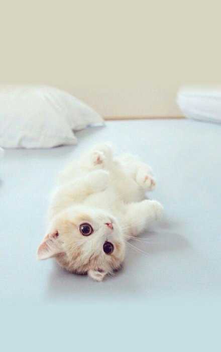 谁还没个擅长的乐器啊，我退堂鼓打的可棒了。