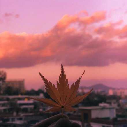 如果你认为人人身上皆有善，那你还没有遇到所有人。