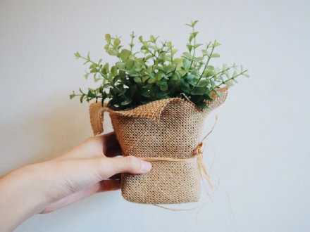 以平常心对待生活，则无处不是鸟语花香；以平常心对待人生，则人生无时不是风平浪静。