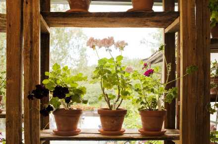 人到了一定的年纪，见多了油腻，看惯了浮躁，就渐渐发现，活得干净有多么难得，因为它能一眼映见，我们灵魂的底色。