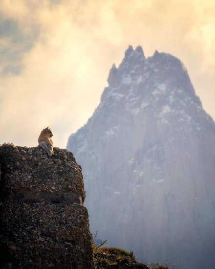 有人帮你，是你的幸运；无人帮你，是公正的命运。没有人该为你做什么，因为生命是你自己的，你得为自己负责。