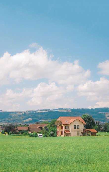 你的焦虑一般来源于过去和未来，而它们都不属于现在。所以不要被“以后怎么办”吓退，认真做好秋天该做的事，等到下雪的时候一定会有结果的。