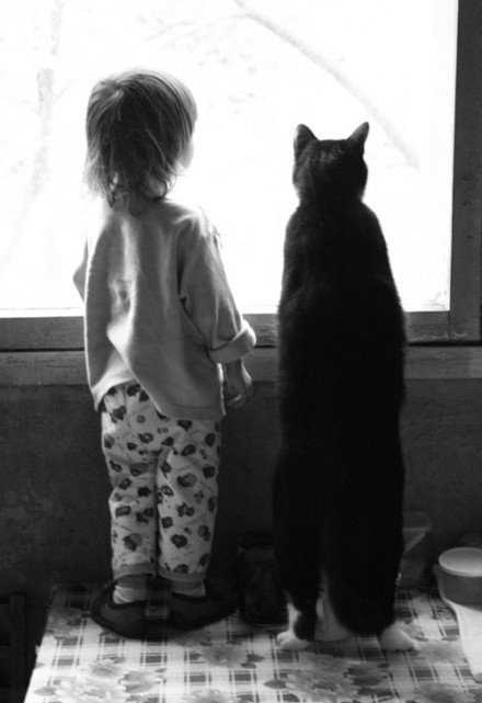 猫有时孤冷，有时热情；有时黏人，有时又不知所踪。女人似猫。女人都有一种猫性：你对它宠爱备至，它可以无下限地讨你欢心，一旦感知到你的冷漠，便立即止损。——她可以很犯贱，也可以很冷艳。