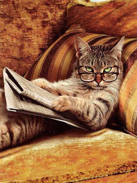 因为我想赢，所以你得输，整不好你还得哭。