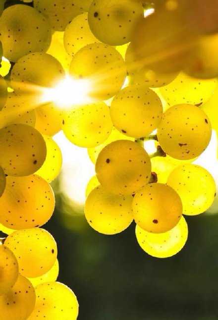 九月还带着点酸溜溜的苦，十月啊，应该要美满些，捂熟些，再多撒点儿糖。