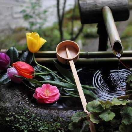 把闲言碎语留给市井小人 你只管优雅从容心怀远方