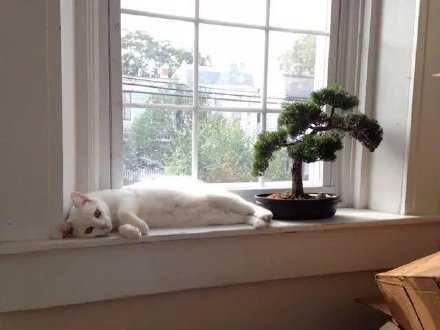 别把敷衍当感动 别把套路当深情