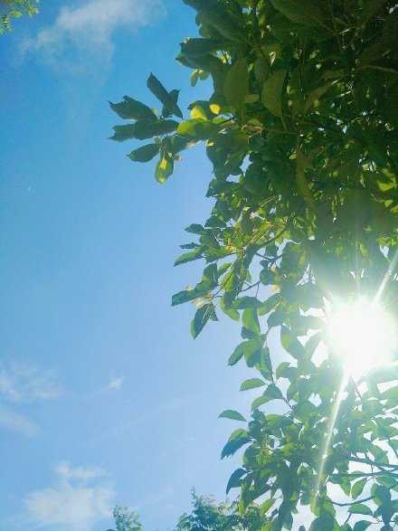 前进不必遗憾，若美好叫做精彩，若糟糕叫做经历，好好去爱去生活，每天的太阳都是新的，别辜负了美好时光，早安！