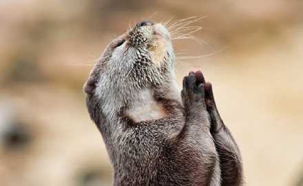 不敢奢望一夜暴富，但求接下来的人生能够顺利一点吧。