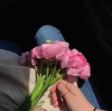 “智者不入爱河。”