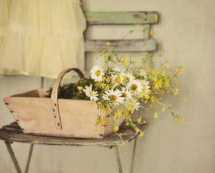 安安静静的做自己的本分就好。