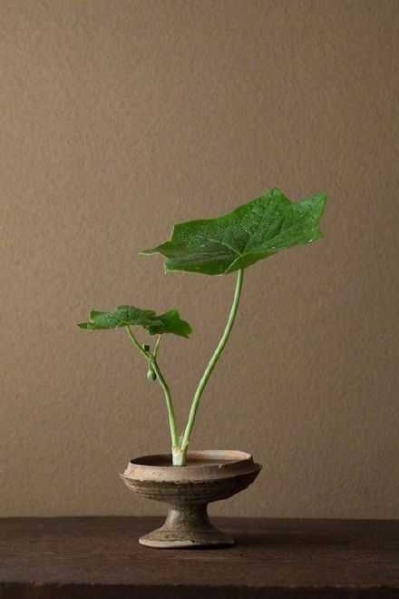 不必介怀别人说了什么，怎么评价你。生活的哲理，真的离我们很近，最无情的不是人，是时间；最珍贵的不是金钱，是情感；最可怕的不是失恋，是心身不全；最舒适的不是酒店，是家里；最难听的不是脏话，是无言；最美好的不是未来，是今天！