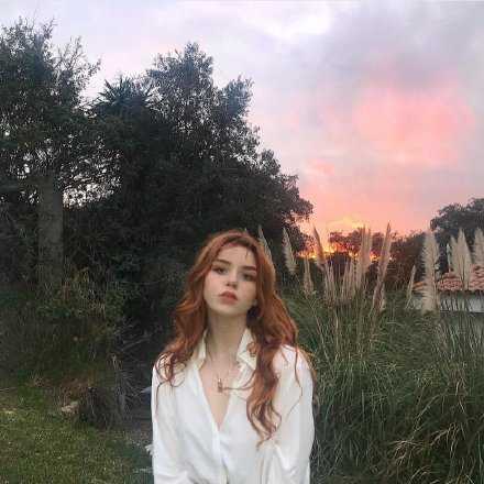 猛虎皆独行 牛羊才成群