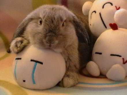 上帝总是公平的，他给了你丑的外表，也一定会给你低的智商，以免让你显得不协调。