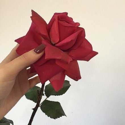 你以为我是话唠 其实只是特别喜欢你