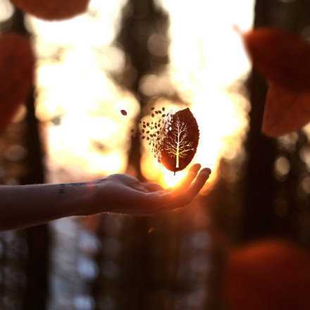 人生四然：来是偶然，去是必然，尽其当然，顺其自然。