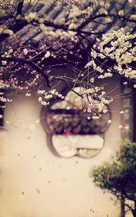 一辈子有多少的来不及和差一点