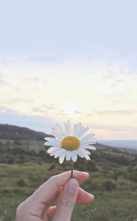 好事坏事，终归，都成往事。