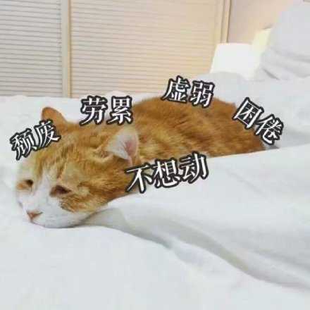 无论我睡多长时间，疲惫它总能追上我。