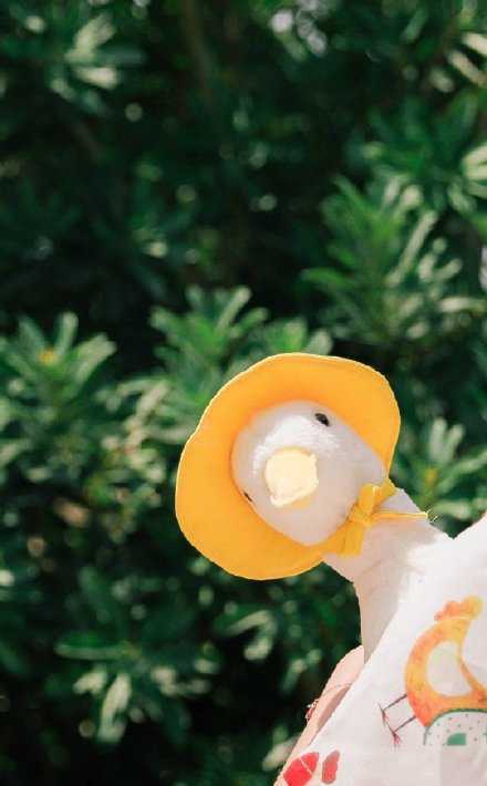 再难也要努力，不想成为自己讨厌的人。