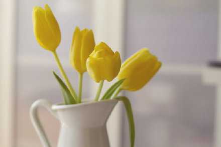 感情，不能敷衍；人心，不能玩弄；缘分，不能挥霍。