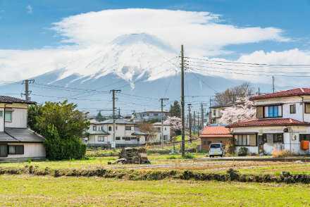 再强大的焦虑，也会败在行动力和坚持面前。如果你问我时光和努力到底有什么意义，那么变成更好的独一无二的自己，便是时光和努力的全部意义。问题是你动都懒得动，时间就只是时间而已，被浪费的不是时间，而是你自己。