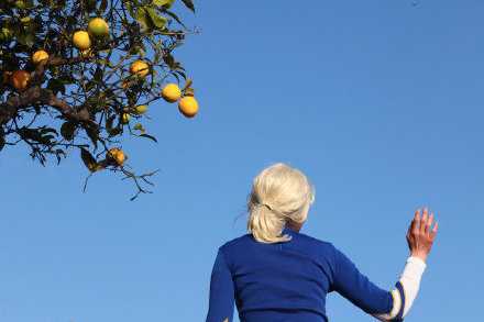 你是我安稳岁月里的节外生枝。