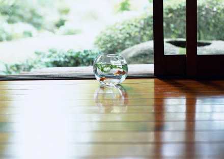 该奋起直追时，就全力以赴；该养精蓄锐时，就从容休养。流流汗，休息时更加惬意；歇歇脚，再出发精神百倍。早安！