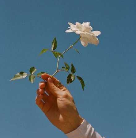 有些事情，时间到了，自然就懂了，不必太纠结。