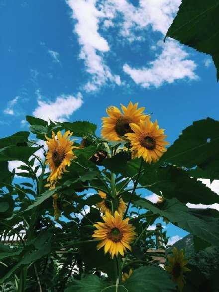 不要把时间浪费在一些不三不四，不明不白，不痛不痒的人身上，因为这很不值。