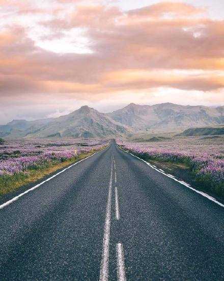 不管过去如何，过去的已经过去，不要因为沉迷过去，而错过正在经历的风景，因为最好的，还在未来等着你。早安。