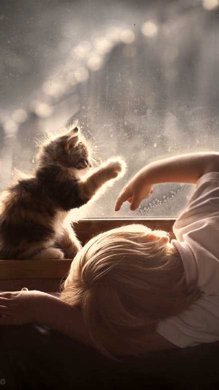 会哭的孩子才有糖吃。而你太过懂事，把自己的糖都分给了别人，甜了他们，苦了自己。