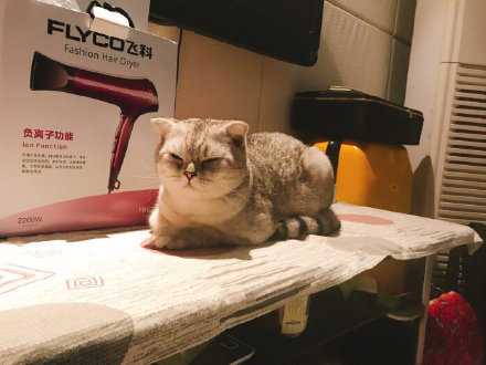 不管我睡多长，总会感到疲惫。