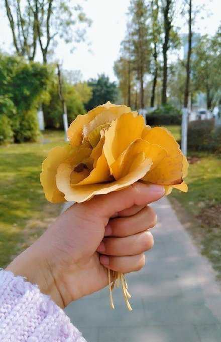 即使说了那么多丧气的话，也一直在努力生活啊。表面泄气就好啦，内心一定要偷偷给自己鼓劲儿啊！