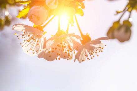 我们当中没有一个人愿意相信，我们的痛苦都是由自己造成的。我们都认为是这个世界亏欠了我们，使我们没有能得到幸福；在我们得不到幸福时，我们就把责任怪在最靠近我们的那个人身上。