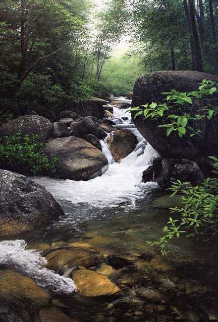 坚强，就是擦干眼泪后微笑着面对以后的生活，抬起脚，勇敢的继续前行。早安。