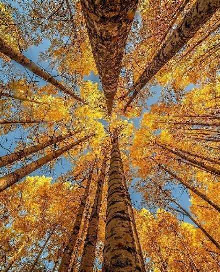 冬是孤独，夏是离别，春是两者之间的桥梁。惟独秋，渗透所有的季节。