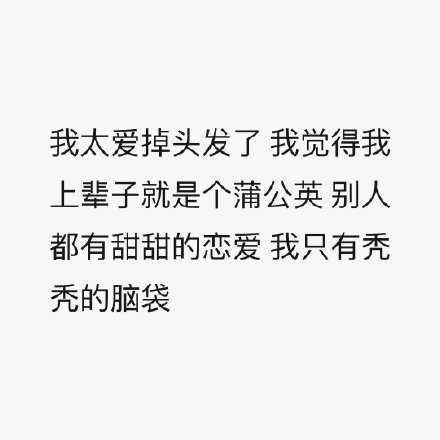 我上辈子可能是蒲公英