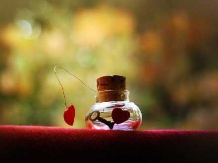 人之相处在于真，情之相守在于心。