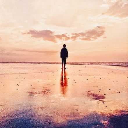 有时候，你需要把一切都烧干净，才会有新的东西生长出来，人也是这样，他们可以重新开始，总能找到办法。