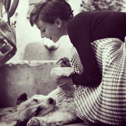 人就应该活得一现实点，谁对你好你就要对谁好，谁对你坏你就不能再对其好。