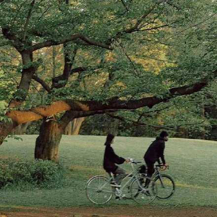 希望你未来的男朋友配得上这个文案：他是朋友，是好朋友，是男朋友，是站在我这边，听我讲，是替我撑腰，好好爱我的人。