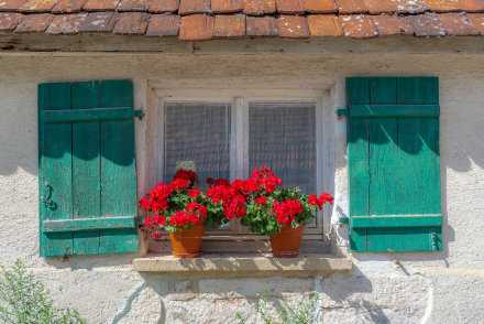 每个人的花期不同，不必焦虑别人比你提前拥有。