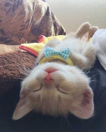 只要能用钱解决的问题，我一件都解决不了。