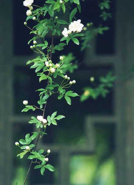 一万个美丽的未来，抵不上一个温暖的现在。早安。