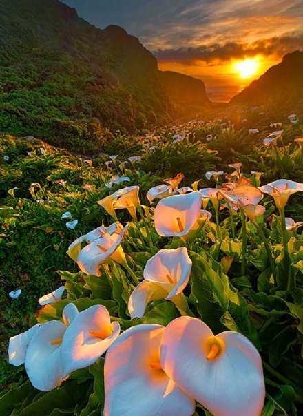 生活本来平淡如水 放一点盐它就是咸的 放一点糖它就是甜的 想调成什么味全靠自己