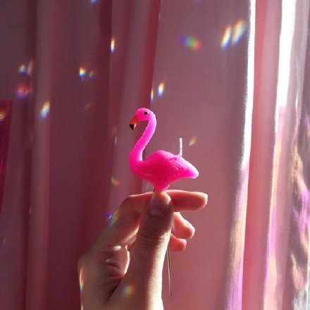 熬夜的女生大概都需要一个二话不说直接把她拎起来扔到床上命令她睡觉的人