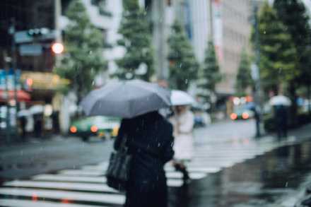 在这个世界上，要么抬头走路，要么低头奔跑，不要边走边看别人的眼光，不要依照别人喜好调整自己的步子，这样走着走着，准会顺拐，或者忘了出发的理由。