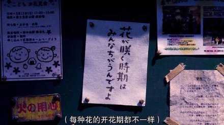 乐观点儿吧，丧久了会觉得整个生活都是错的。