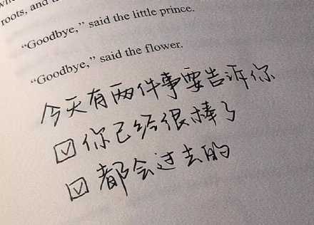 今天有两件事告诉你。1、你已经很棒了；2、都会过去的。